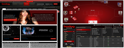 bodog poker user bewertung