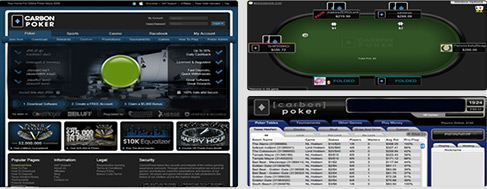 mein carbon poker test